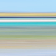 SkyDancer Coffee logo