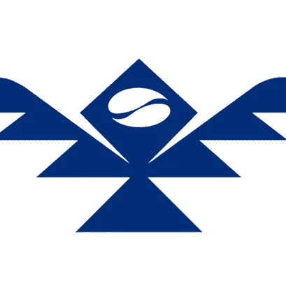 VeliK Coffee logo